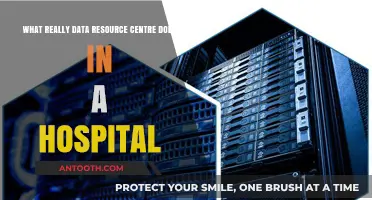 Unveiling the Role of a Hospital Data Resource Centre