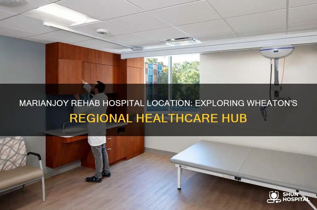 what region is marianjoy rehab hospital in whetaon in