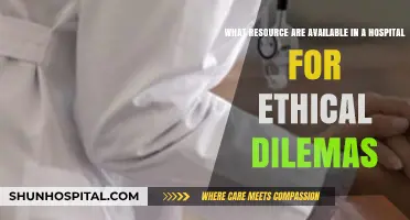 Navigating Ethical Dilemmas: Hospital Resources for Complex Decision-Making