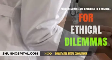 Navigating Ethical Dilemmas: Hospital Resources for Complex Decision-Making