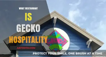 Exploring Gecko Hospitality: A Journey Through Their Restaurant Portfolio