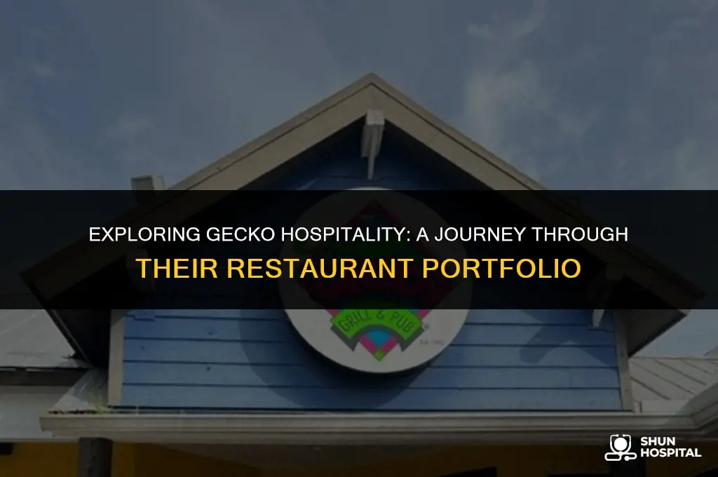 what restaurant is gecko hospitality