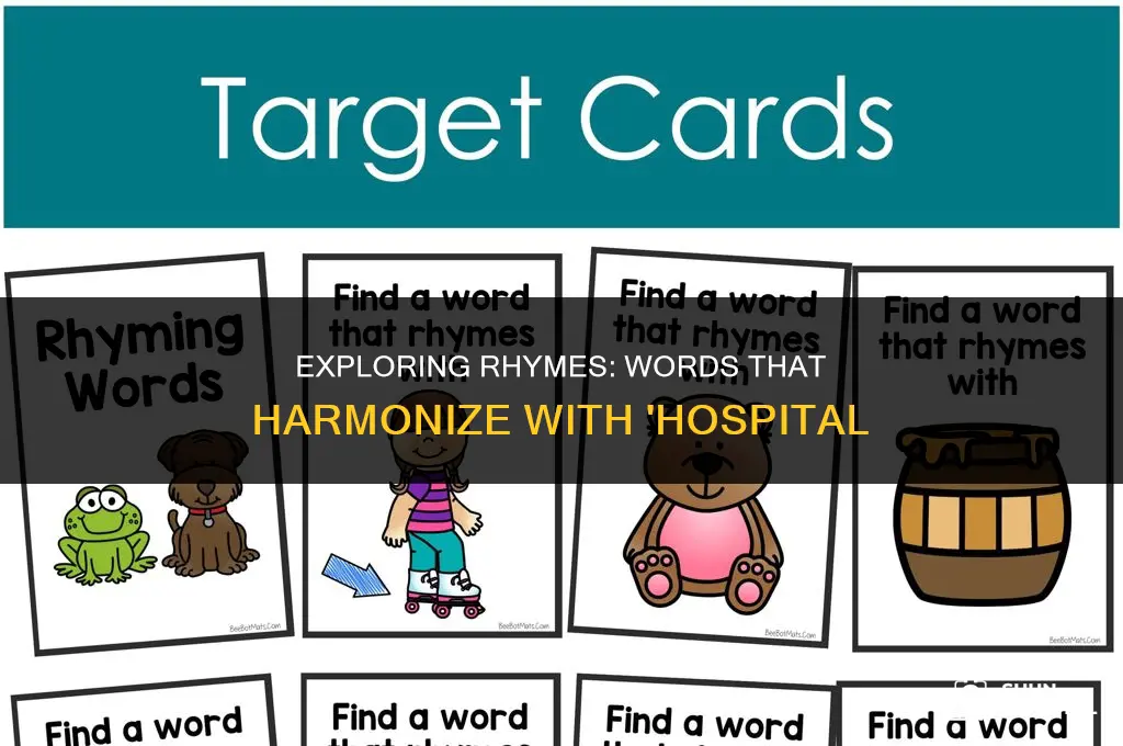 what rhymes w hospital