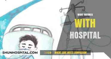 Creative Wordplay: Exploring Rhymes for 'Hospital' in Everyday Language