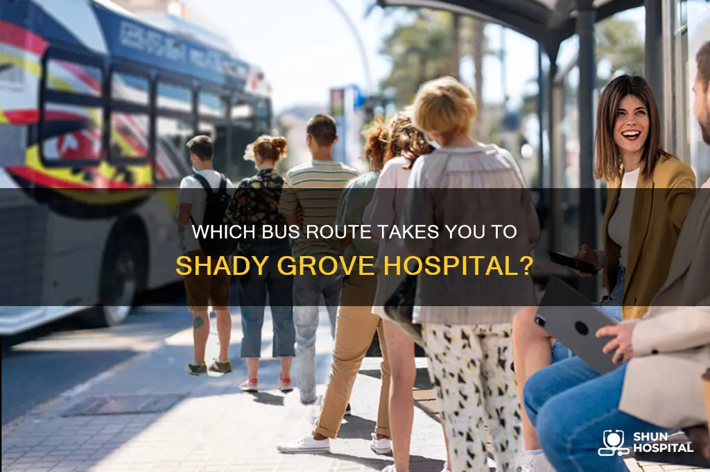 what ride on bus goes to shady grove hospital
