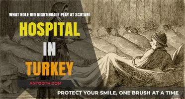 Florence Nightingale's Transformative Role at Scutari Hospital in Turkey