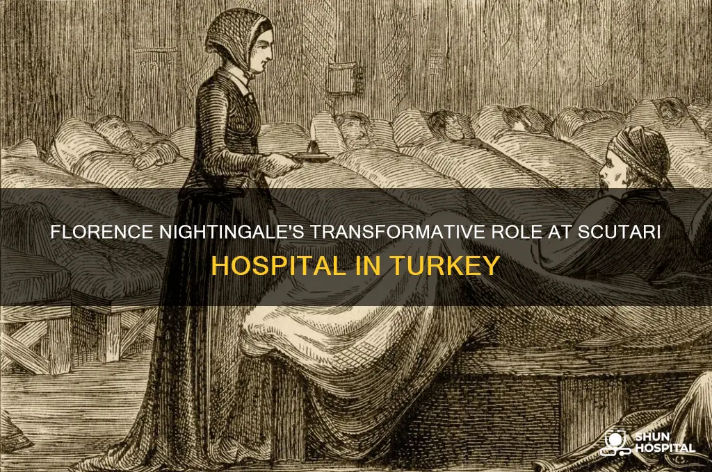 what role did nightingale play at scutari hospital in turkey