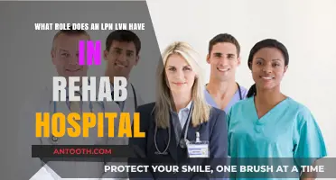 LPN/LVN Role in Rehab Hospitals: Essential Patient Care and Recovery Support