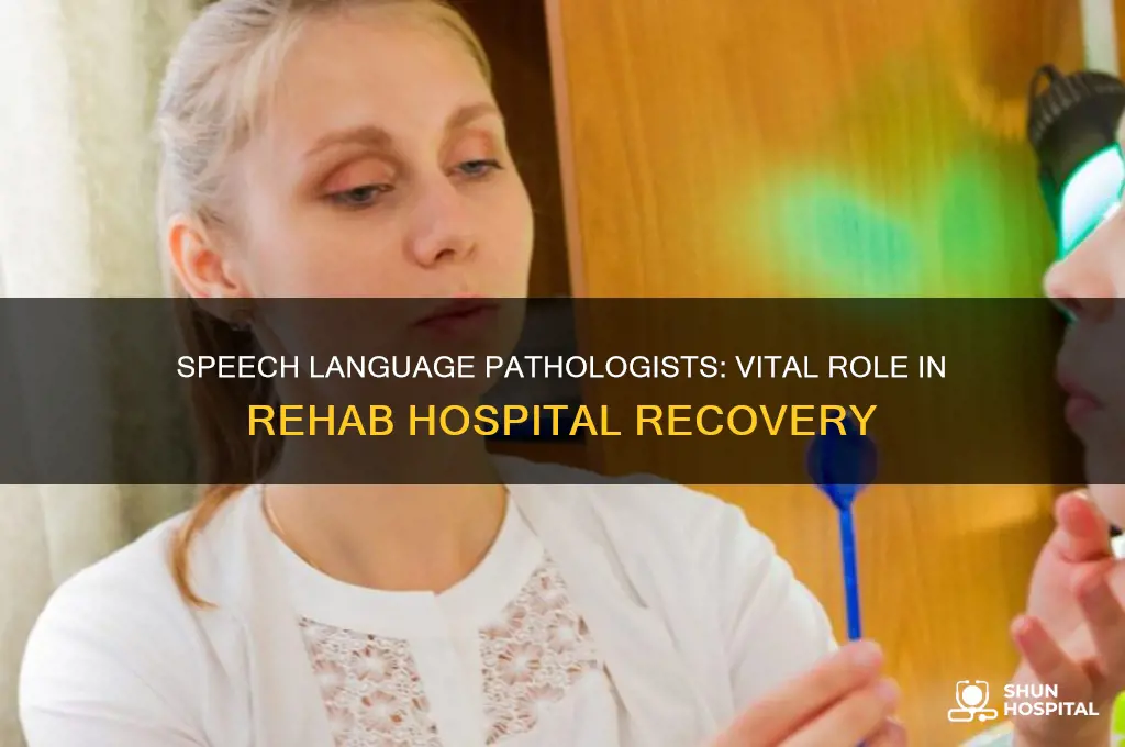 what role does speech language pathologist have in rehab hospital