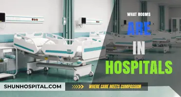 Exploring the Different Departments and Rooms in a Hospital