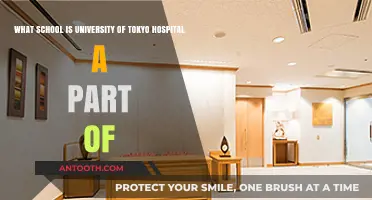 University of Tokyo Hospital: Its Academic Affiliation Explained
