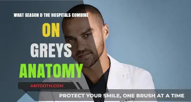 Grey's Anatomy: The Season Hospitals Merged – A Recap