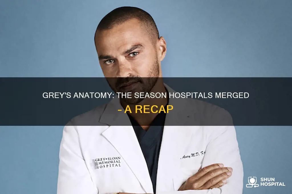 what season d the hospitals combine on greys anatomy