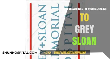 Grey Sloan Memorial: The Season of Hospital Name Change Explained