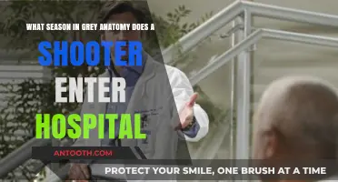Grey's Anatomy Shooter Episode: Which Season Shook the Hospital?