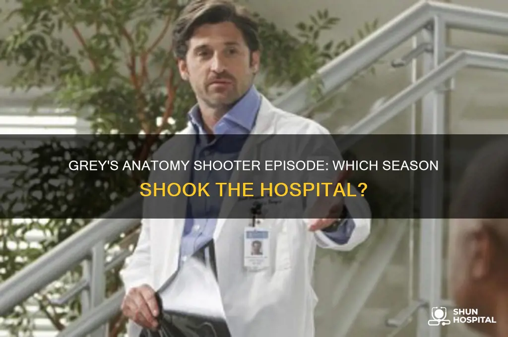 what season in grey anatomy does a shooter enter hospital