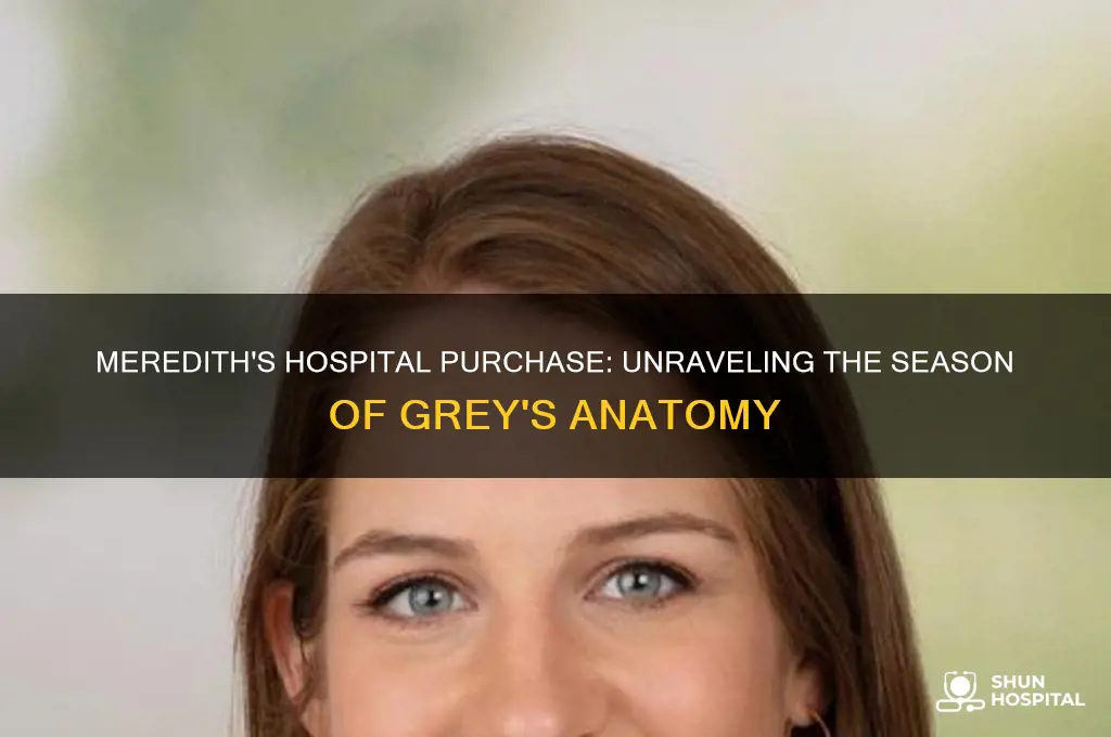what season is it when meredith buys the hospital