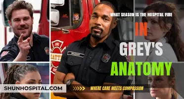 Grey's Anatomy Hospital Fire: Unraveling the Season of the Blaze