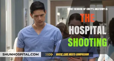 Grey's Anatomy Hospital Shooting: Which Season Shook Fans?