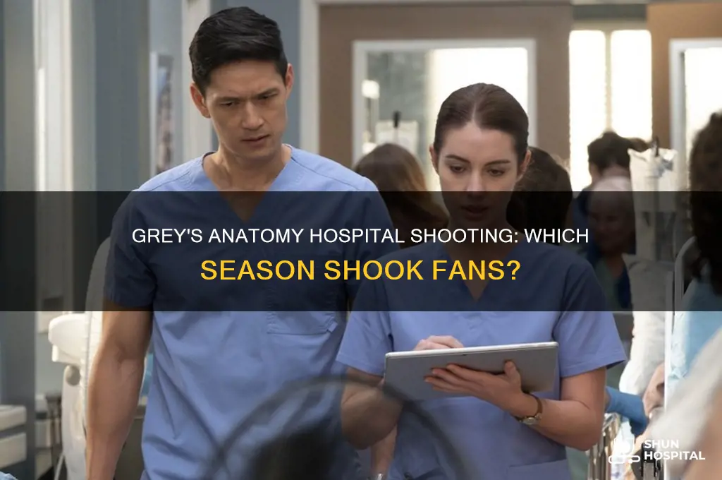 what season of grey