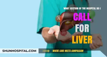 Which Hospital Department Handles Liver Concerns? A Quick Guide