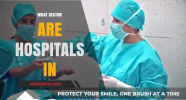 Understanding the Sector: Where Do Hospitals Fit In?
