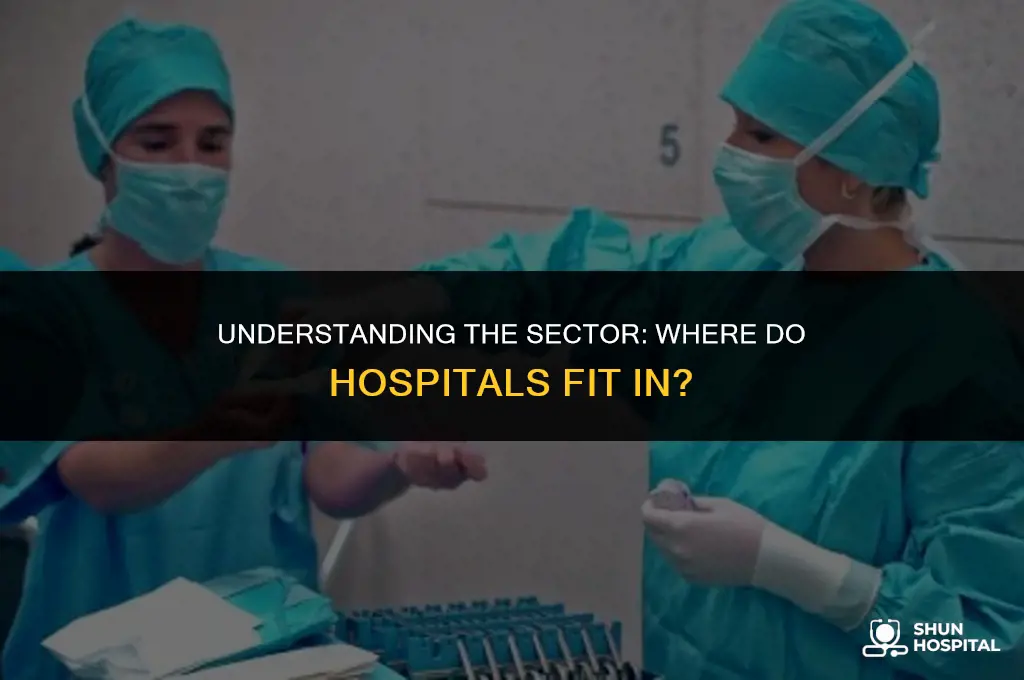 what sector are hospitals in