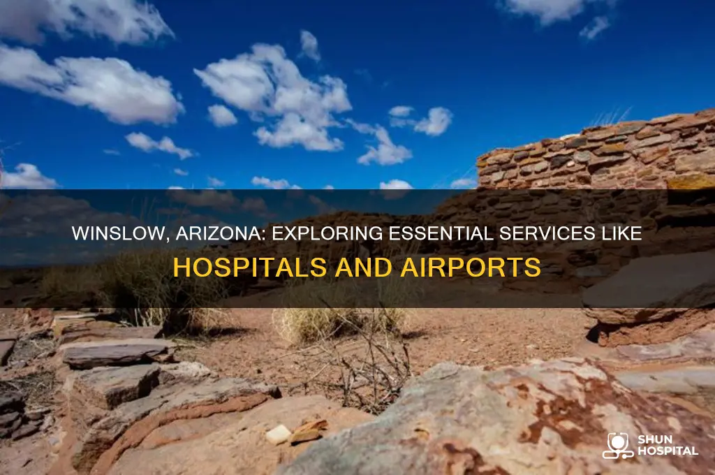 what serices such as hospital airport in winslow arizona