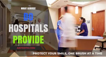 Exploring the Comprehensive Services Offered by Modern Hospitals