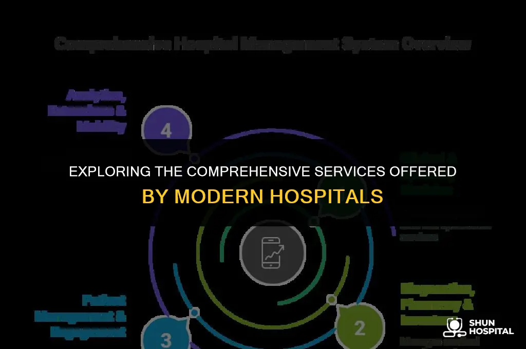 what service do hospitals provide