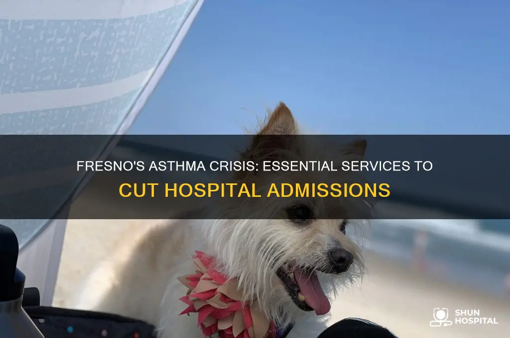 what services necessary to reduce asthma hospital admissions in fresno