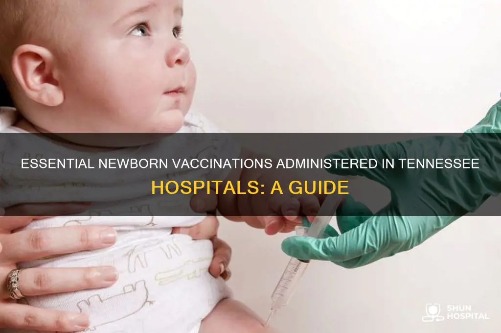 what shots are given to newborn in hospital in tennessee