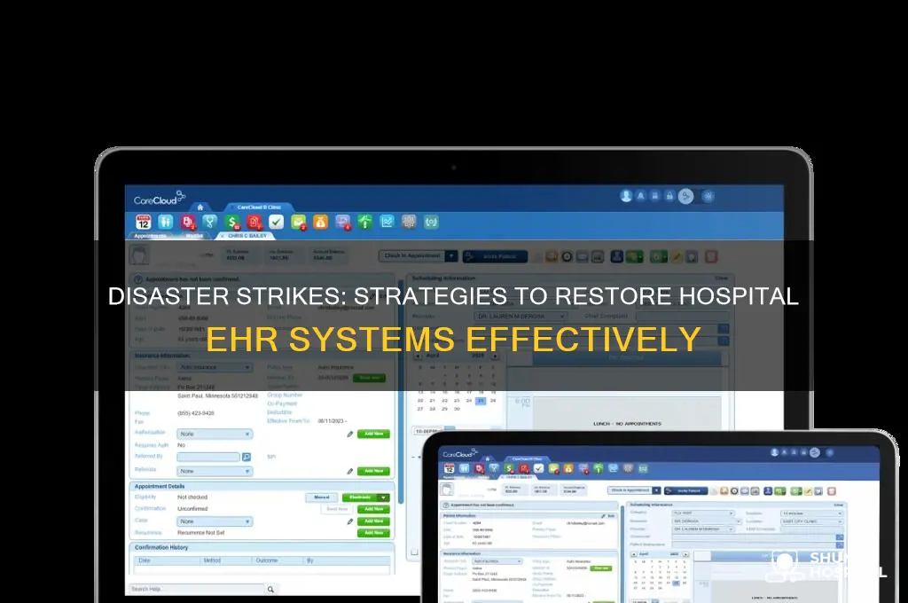 what should be done when disaster affects hospital ehr system