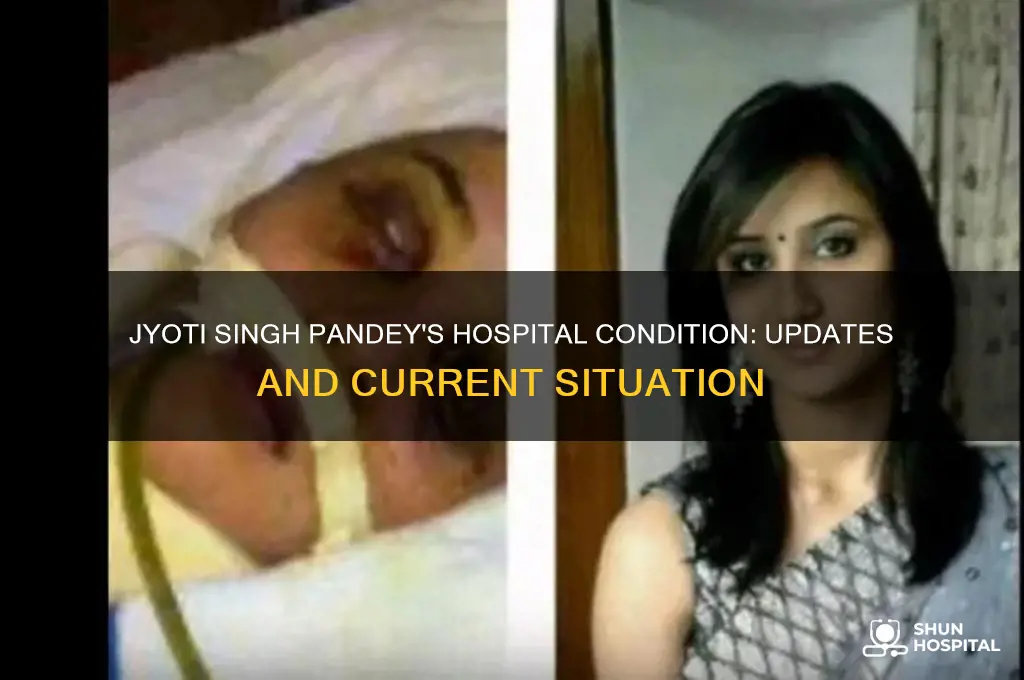 what situation of miss jyoti singh pandey in hospital