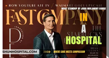 John Mulaney's Hilarious Standup: Horse in a Hospital Explained