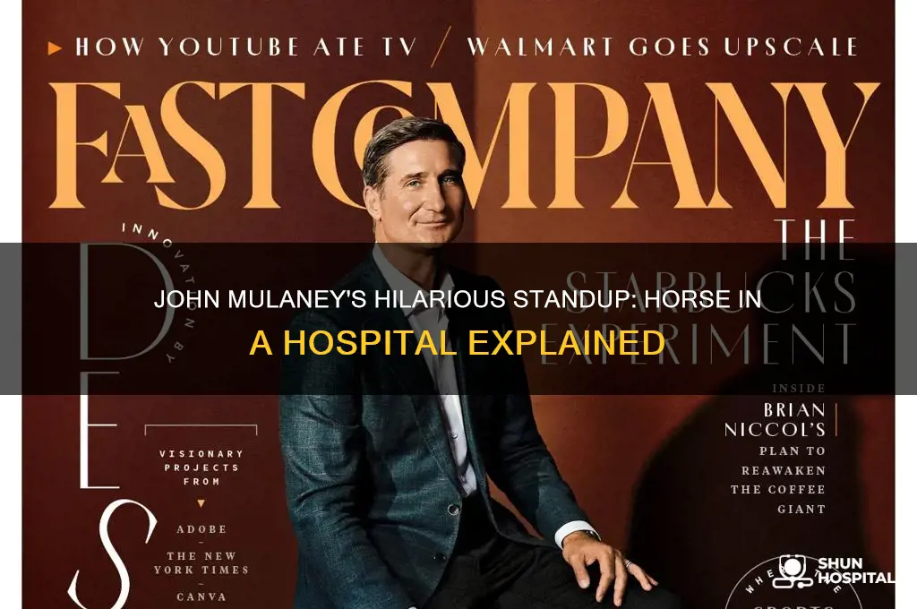 what standup by john mulandry horse in a hospital