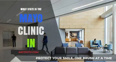Mayo Clinic: Which State is Home to This Medical Icon?