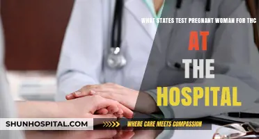 Pregnancy and THC Testing: Which States Screen at Hospitals?