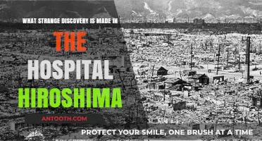 Unveiling Hiroshima Hospital's Eerie Secret: A Strange Discovery Revealed