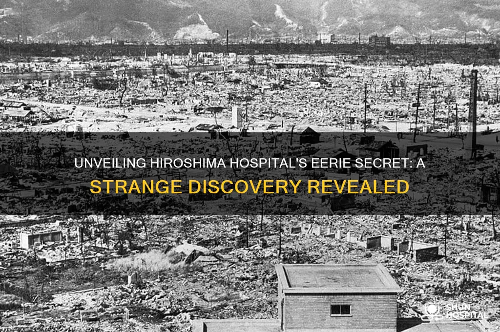 what strange discovery is made in the hospital hiroshima
