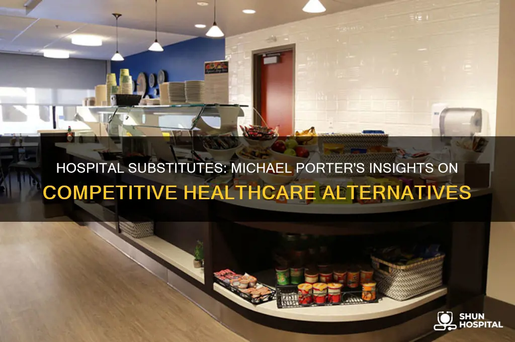 what substitutes does hospital face according to michael porter