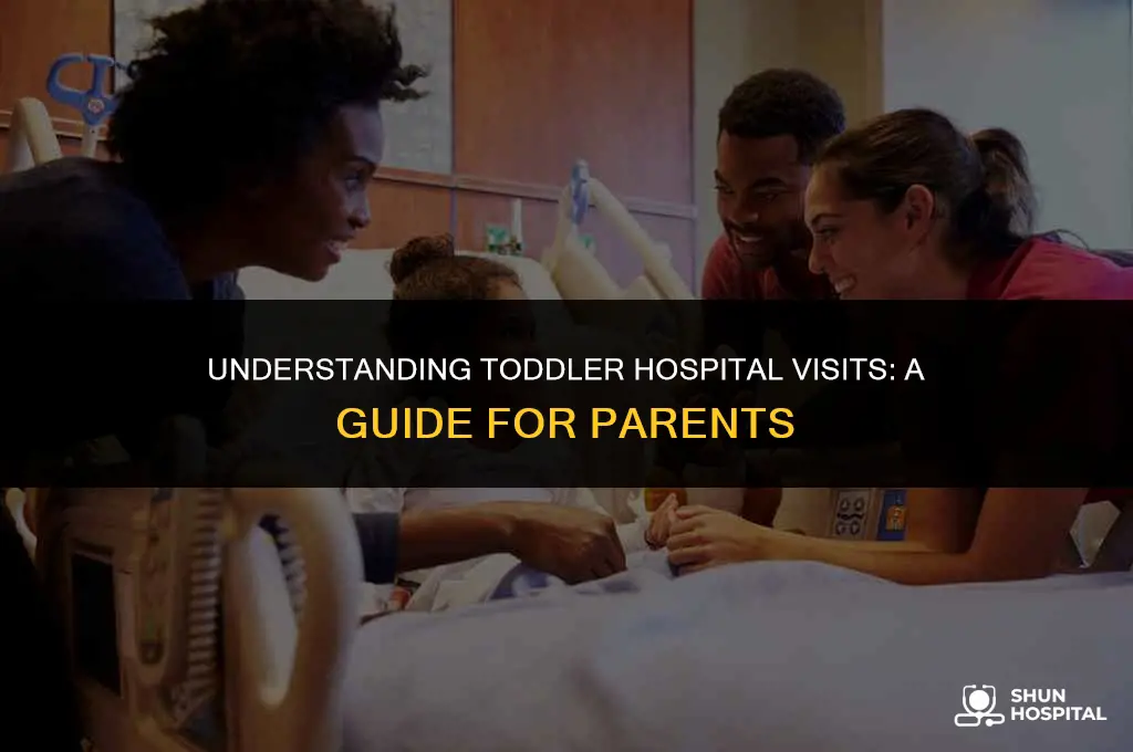 what temp toddler hospital