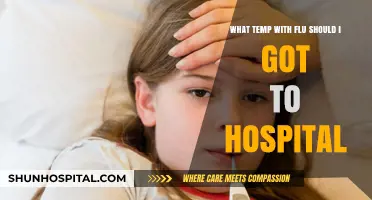 When to Seek Emergency Care: Flu Fever Thresholds Explained