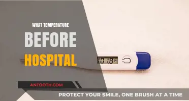 Fever Thresholds: When to Seek Medical Attention for High Temperature