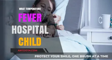 When to Worry: Fever in Children and Hospital Care