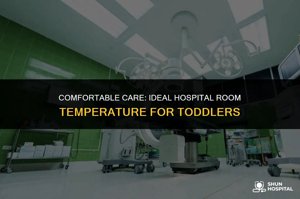 what temperature for hospital toddler