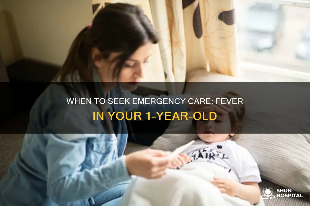 what temperature she your 1 year old to the hospital