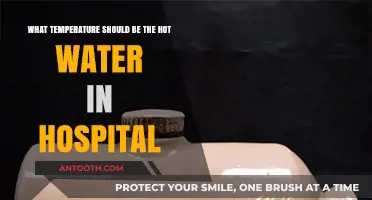 Optimal Hot Water Temperature Guidelines for Hospital Safety and Efficiency