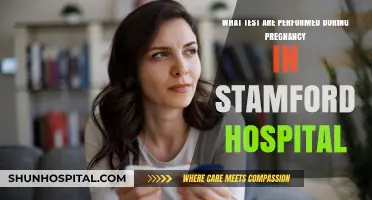 Essential Pregnancy Tests at Stamford Hospital: A Comprehensive Guide