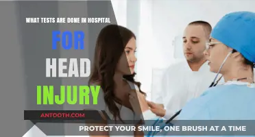 Head Injury Hospital Tests: Essential Diagnostics for Brain Trauma
